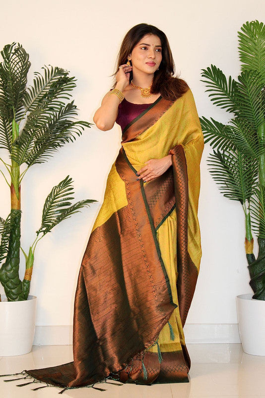 Gold zari jacquard silksaree, zari border of muthu,kodi visiry & chevron  designs & bogudi,kuyil kann & zari stripes