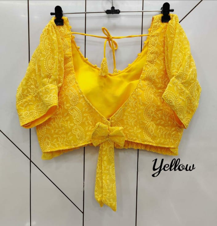 Designer Chikankari Hakoba Ready made Blouse- Free Size ( From 38 to 40 Inch)