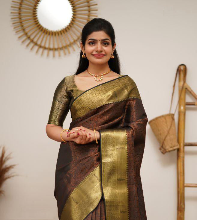 SF-Black color Soft Lichi Silk saree - Indian